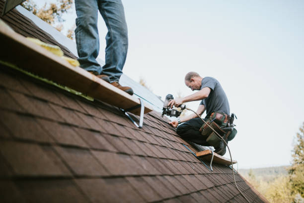 Best Storm Damage Roof Repair  in Stanford, KY